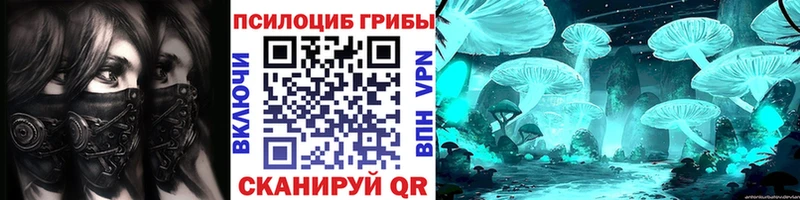 ОМГ ОМГ рабочий сайт  Чегем  Псилоцибиновые грибы Cubensis 