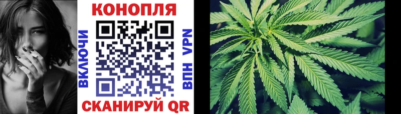 ссылка на мегу ССЫЛКА  Чегем  Канабис план 